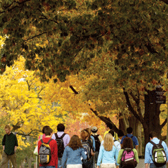 Students walking across campus in the Fall