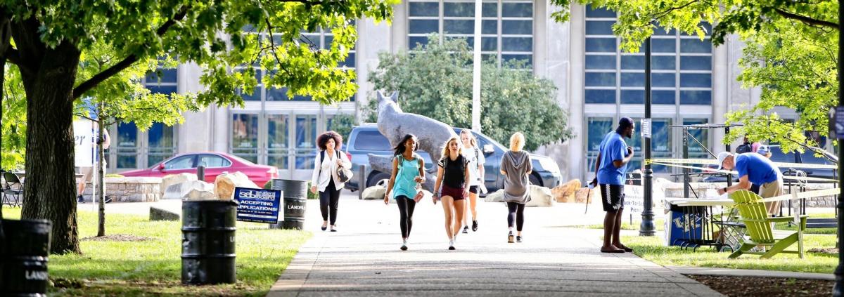 Photo of females walking toward the camera on a summer day with the Wildcat statue and Memorial Colesium in the background