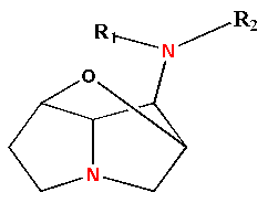 [loline alkaloid structure]