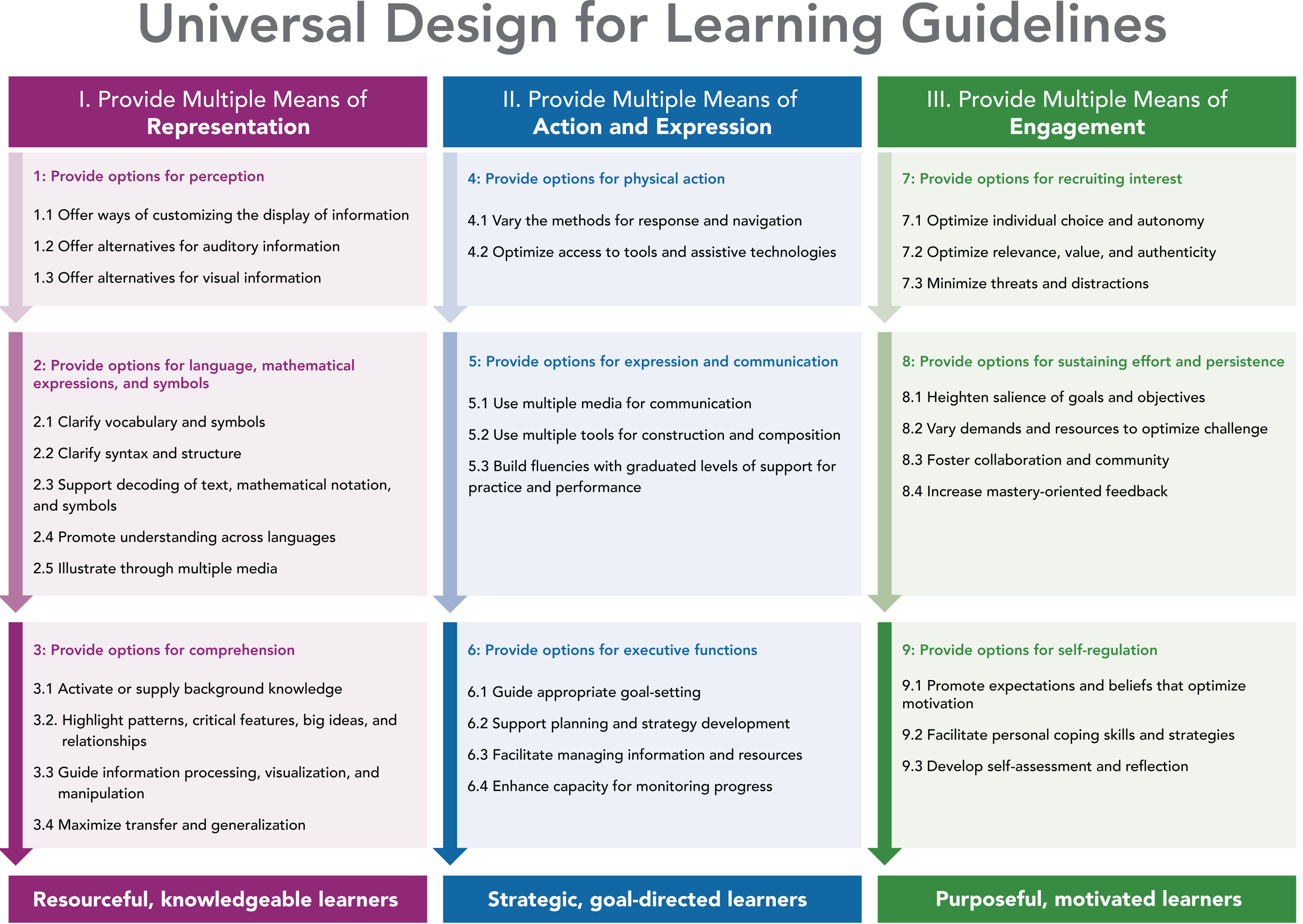 Udl Principles Chart