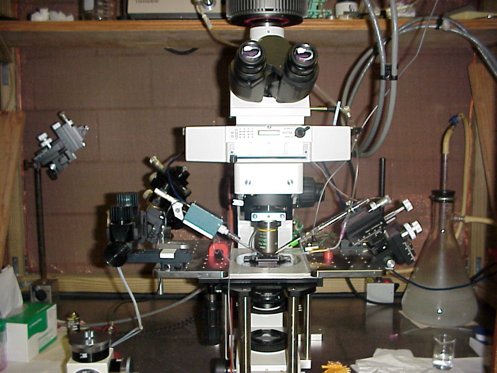 Ephys rig