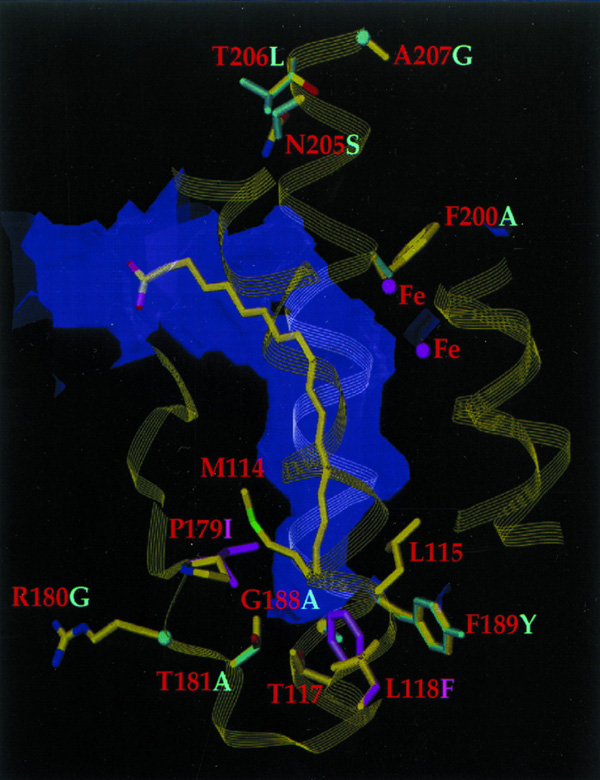[Cahoon et al. Fig. 3]