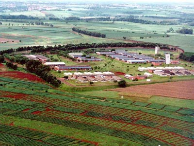 photo showing aerial view of the Research Station and plots