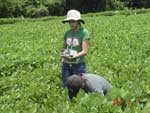 Photo showing the Brazilian research team measuring the incident light above the soybean canopy.