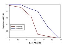 chart showing reductions in ELAI as percent of control when SBR started at first flower (R1)versus at beginning of seed fill (R5)