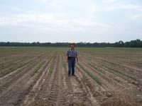 photo of Jim Board in newly planted LA soybean test plot