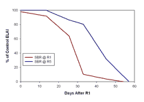 chart showing reductions in ELAI as percent of control when SBR started at first flower (R1)versus at beginning of seed fill (R5)