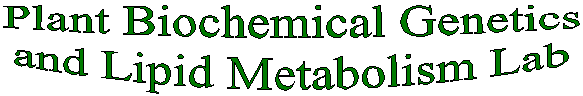 Welcome to the Plant Biochemical Genetics and 
Lipid Metabolism Lab