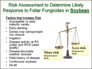 Risk scale for soybean
