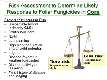Risk scale for corn.jpg