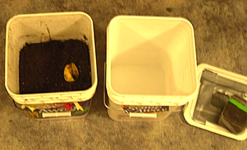 Egg-laying chambers: made from kitty-litter containers
