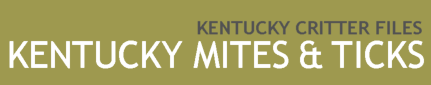 Kentucky Mites & Ticks