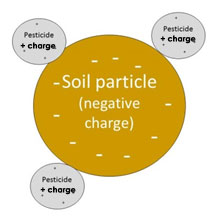 Pesticide adsorbed onto soil particle