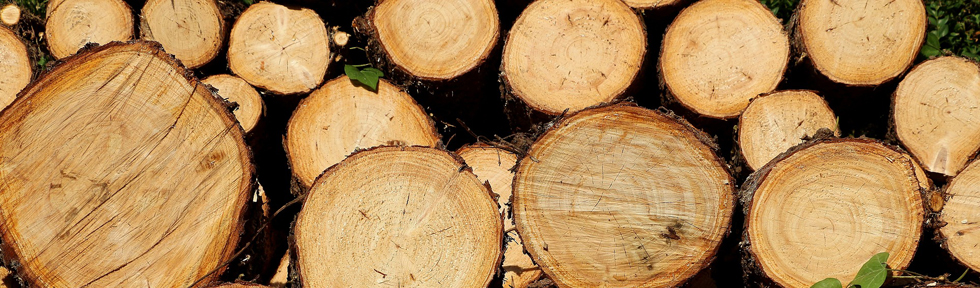 Wood Preservation Wood Preservative Pesticides Kentucky Pesticide Safety Education