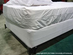 encased mattress
