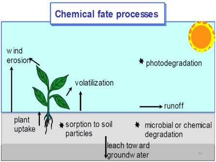 pesticide pesticides