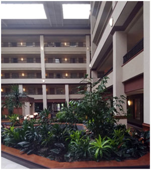 hotel interior planting