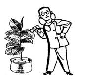 Cartoon of plant doctor