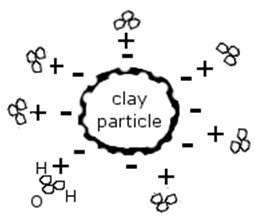 Herbicide molecules adhere to clay particle