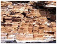 Cross-grain cracking of wood