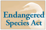 Endangered Species Act