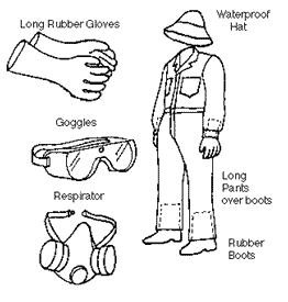 personal protective equipment