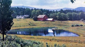 Farm pond