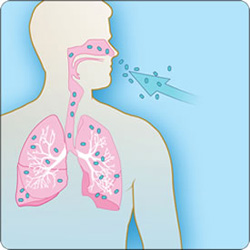 Inhalation diagram