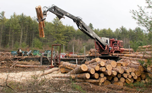 Logging machinery