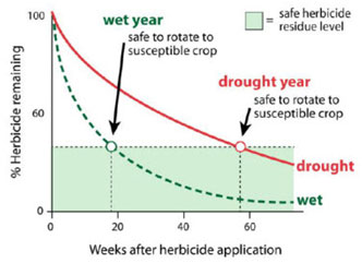 Pesticide persistence graph