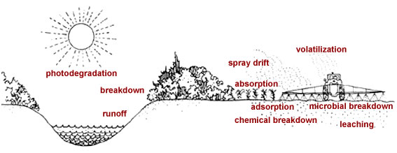 Pesticide movement