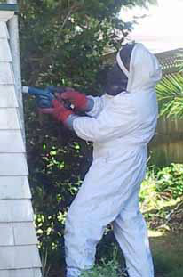 Removing wasp nest