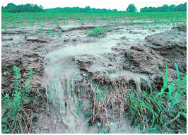 Runoff water