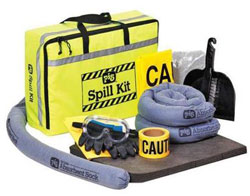 Spill cleanup kit