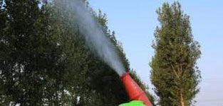 Spraying trees