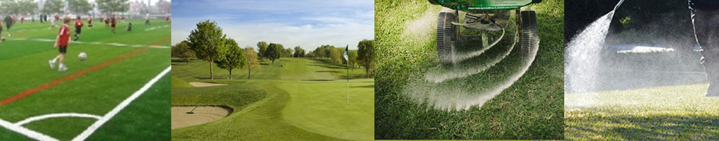 Turfgrass images