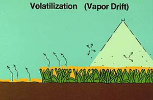 Volatilization or vapor drift