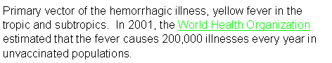 Text Box: Primary vector of the hemorrhagic illness, yellow fever in the tropic and subtropics.  In 2001, the World Health Organization estimated that the fever causes 200,000 illnesses every year in unvaccinated populations.