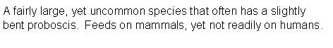 Text Box: A fairly large, yet uncommon species that often has a slightly bent proboscis.  Feeds on mammals, yet not readily on humans.