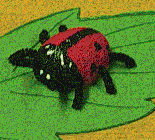 styrofoam ladybug