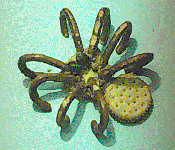 spider made with pretzels