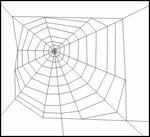 orb web