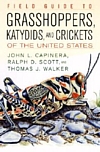 front cover of book:  Field Guide to Grasshoppers, Katydids, and Crickets 