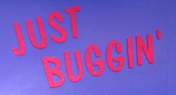 Just Buggin' Banner