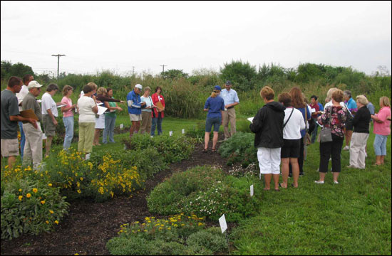 field day participants