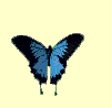 Entomology