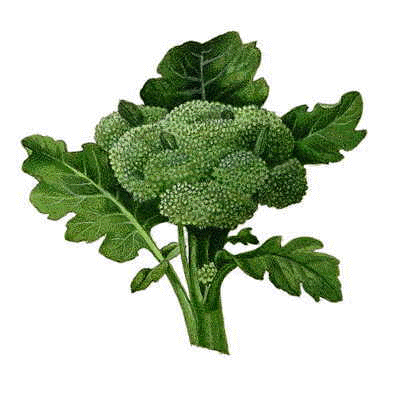 Veggies