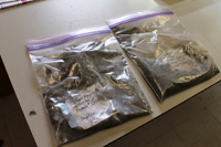 Samples of deep formations in the well are being provided to the UK College of Pharmacy for research into possible new drugs.