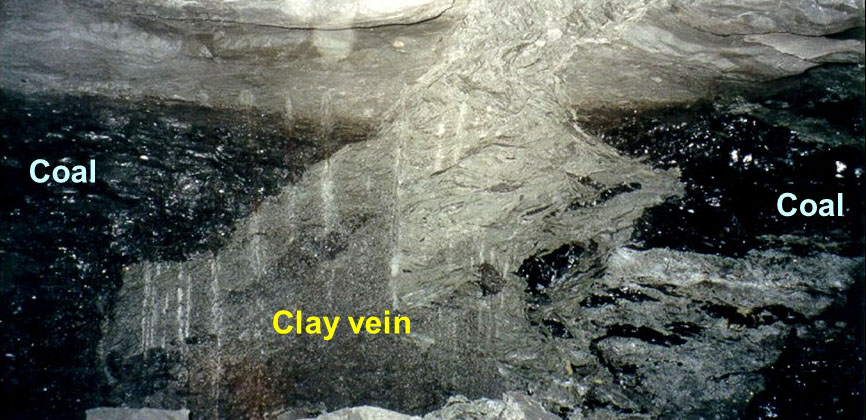  Discontinuidad típica de vetas de arcilla. Este ejemplo está en in the Herrin (W. Ky. No. 11) lecho de carbón en el oeste de Kentucky. La veta mide de 1 a 4 pies de ancho y se puede rastrear en el esquisto del techo. 