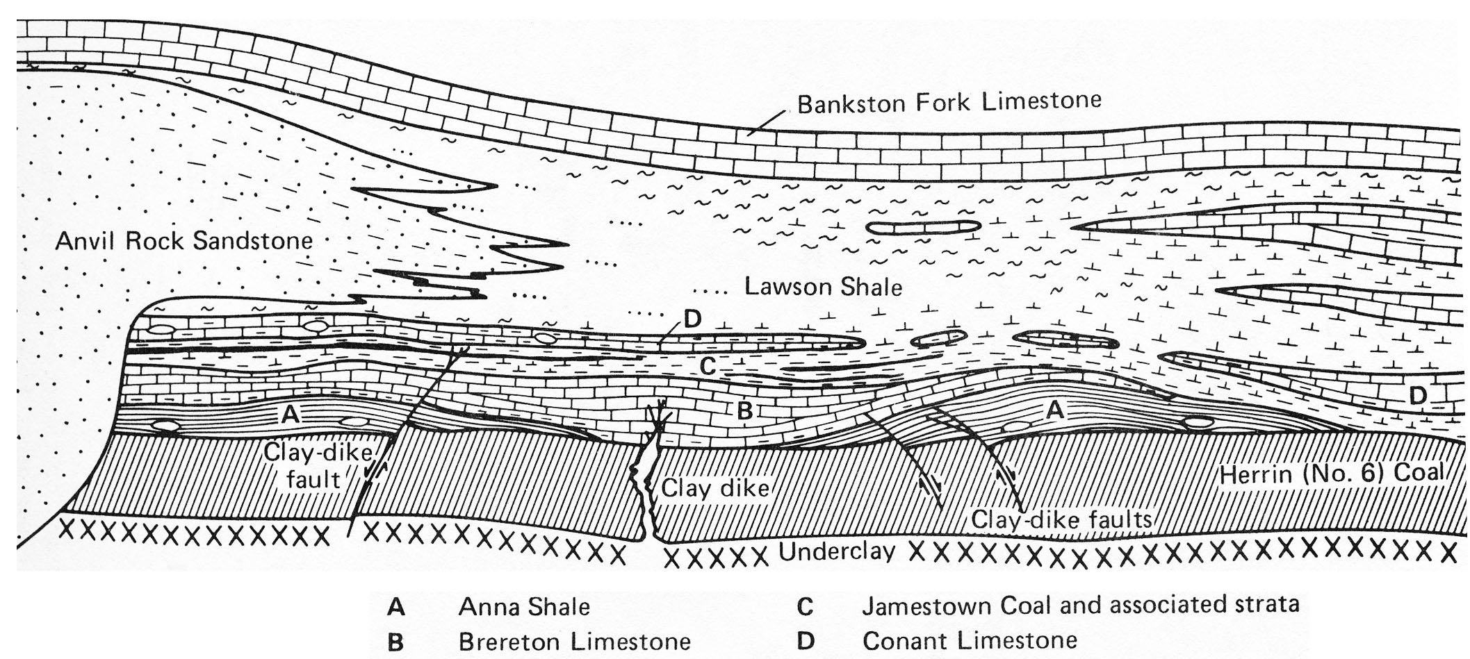 رگه‌های رسی گاهی با تغییرات ضخامت سنگ‌های آهکی پوشاننده (B) و شیل‌های سیاه (A) در حوضه ایلینویز همراه هستند (از Damberger و دیگران، 1980، شکل 12، با اجازه سازمان زمین‌شناسی ایالت ایلینویز).